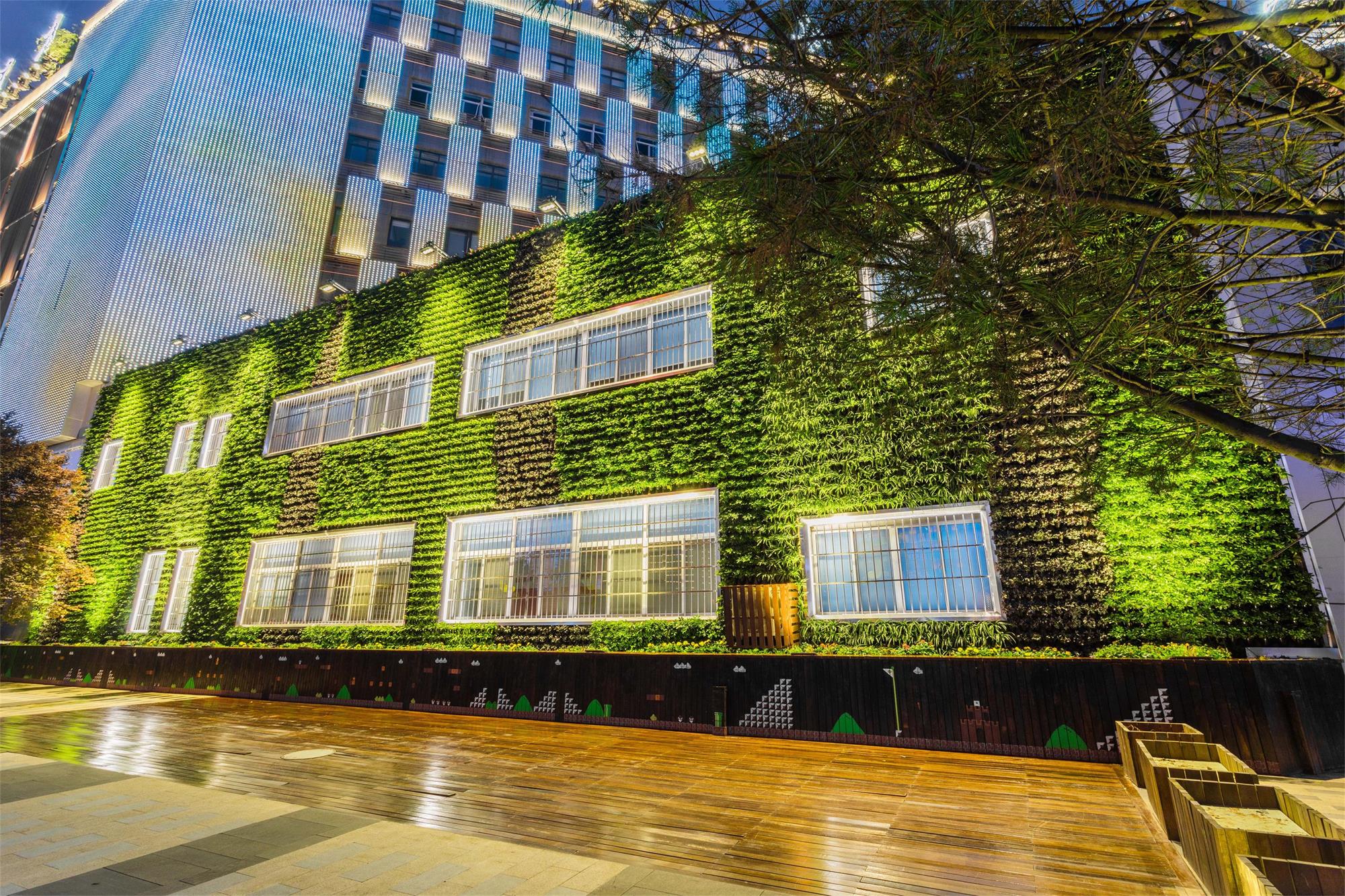 绿化墙_室内绿化墙_办公室生态绿化墙_深圳湾科技楼生态绿化墙